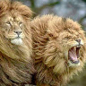 Meet your Posher, Quinton